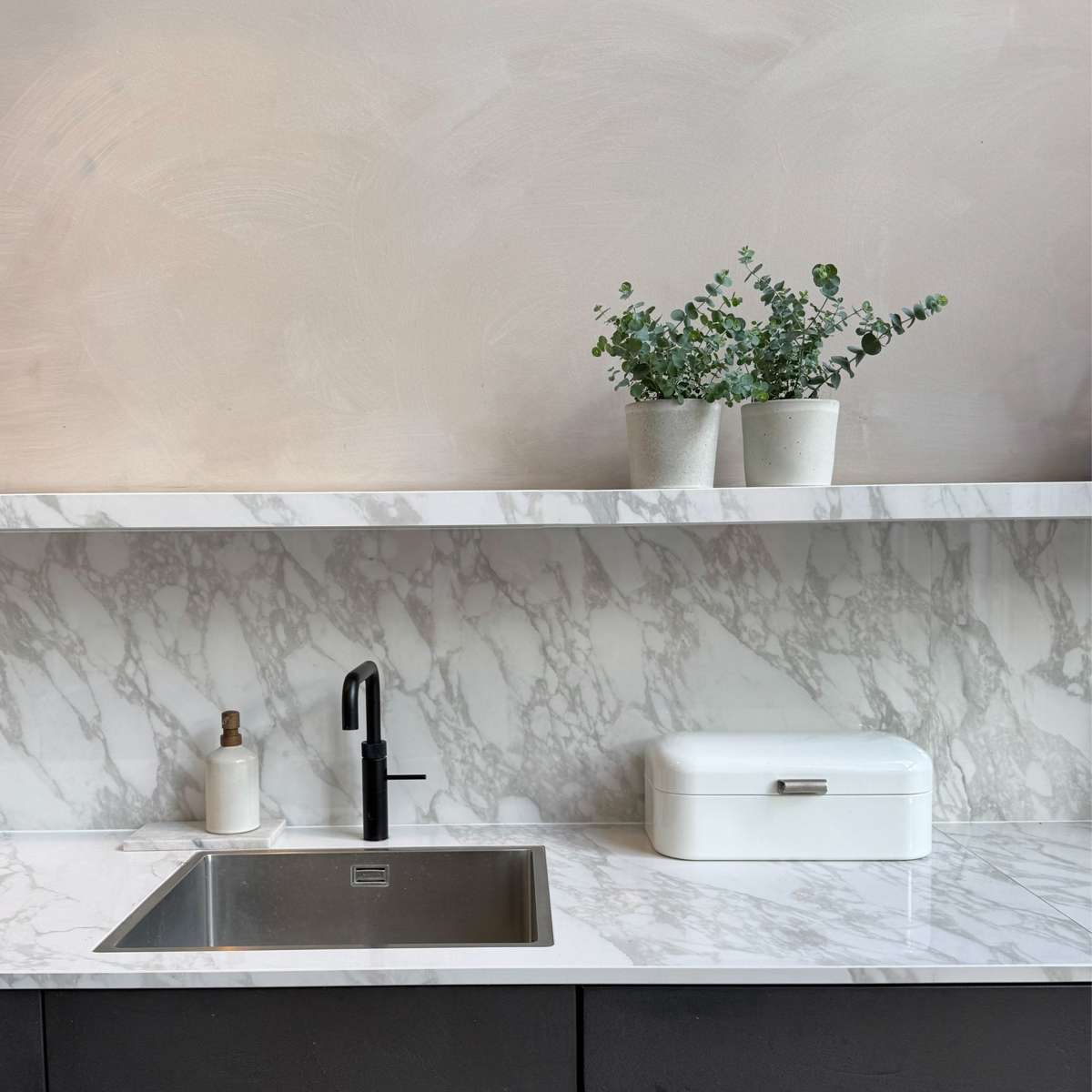 Eucalyptus Eukalyptus - Set Om 2 - Eucalyptus 'Pulverulenta' - Höjd 25-40Cm - ⌀13Cm